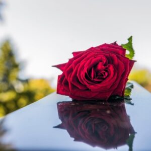 Sarah Lane - Independent Funeral Celebrant. I guide you through the funeral ceremony process, working with you and your Funeral Director to create a totally individual and unique service that incorporates the values of your loved ones, your memories, and reflections.